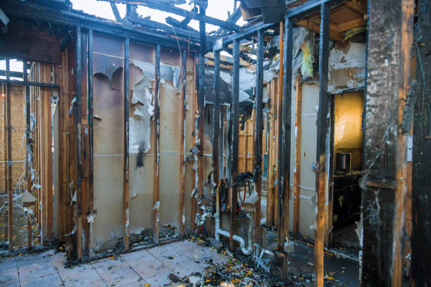 Professional Fire Damage Restoration technician working in South Haven, MN