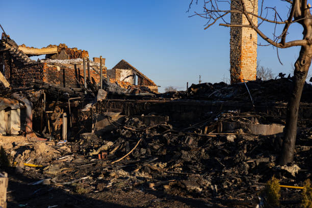Reliable Fire Damage Restoration contractor in South Haven, MN by Fire Damage Doption