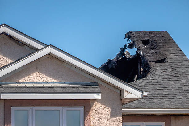 Top rated local Fire Damage Restoration specialists in South Haven, MN